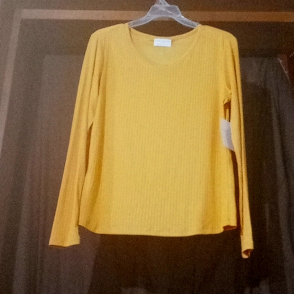Long shelve shirt